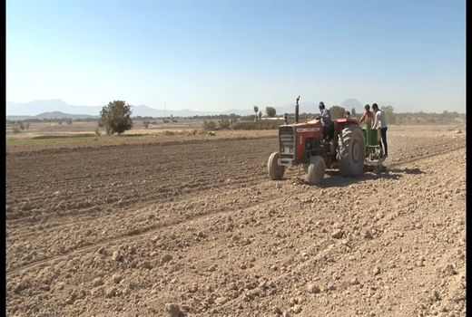 تیران و کرون، بزرگترین قطب تولید موسیر در کشور