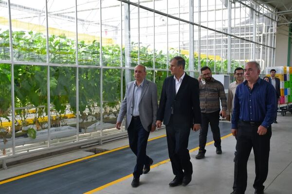 آذربایجان شرقی دروازه صادرات به اروپاست