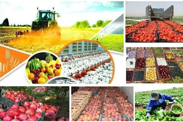 اخذ نشان استاندارد حد مجاز آلاینده‌های محصولات کشاورزی در چهارمحال و بختیاری