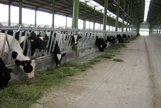 بهره‌برداری از ۴۲۰ واحد صنعتی دام و طیور در چهار سال گذشته