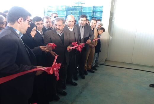 یک طرح صنایع کشاورزی در شهرستان تاکستان افتتاح و به بهره برداری رسید