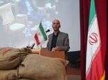 تحت هرشرایطی کشت برنج دراستان ممنوع است