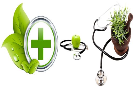 حذف سازمان حفظ نباتات؛ تهدیدی برای امنیت غذایی کشور است