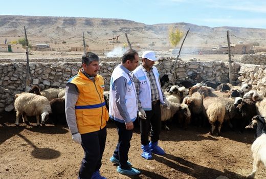 اکیپ‌های درمانی دامپزشکی در مناطق محروم استان بوشهر تشکیل شد