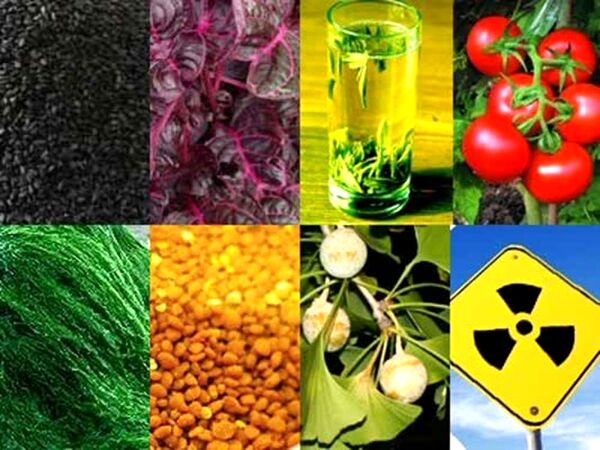 کاربرد انرژی هسته‌ای در کشاورزی/ پرتودهی جایگزین سموم دفع آفات نباتی می‌شود
