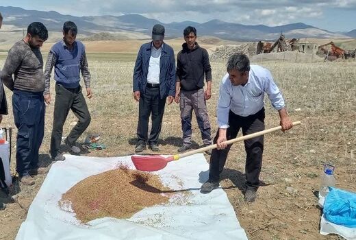 ضدعفونی کامل بذور در کشت پاییزه غلات شهرستان ورزقان