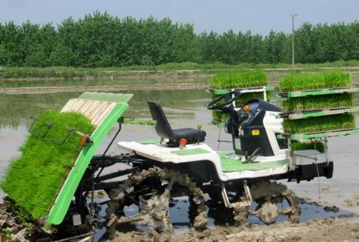 جذب 100 میلیاردی تسهیلات مکانیزاسیون کشاورزی در بابل/ خرید 48 ماشین جدید