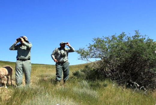 ۴۵ محیط‌بان بیش از ۱۹۴ هزار هکتار عرصه را پایش می‌کنند