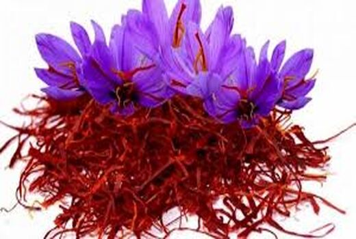 ابلاغ دستورالعمل اجرایی خرید حمایتی زعفران به منظور حمایت از کشاورزان و تنظیم بازار 