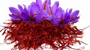 ابلاغ دستورالعمل اجرایی خرید حمایتی زعفران به منظور حمایت از کشاورزان و تنظیم بازار 