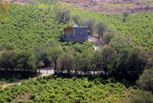 تغییر کاربری بزرگ‌ترین چالش کشاورزی کاشان است