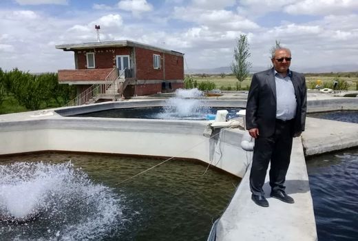 پیش بینی تولید ۱۱۰۰ تن گوشت ماهی در شهرستان مراغه