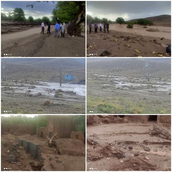 سیلاب های اخیر بیش از 5 هزار میلیارد ریال خسارت به بخش کشاورزی و دامپروری شهرستان شهربابک وارد کرد