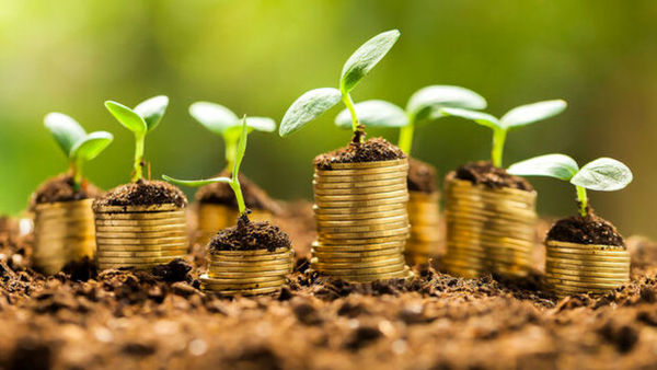 بخش کشاورزی نیازمند سرمایه گذاری است/ سهم ۴.۹ بخش کشاورزی از سرمایه‌گذاری ناخالص کشور در 15 سال اخیر 