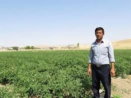 ارتقاء بهره‌وری در کشاورزی با نوآوری و دانش‌بنیانی محقق می‌شود