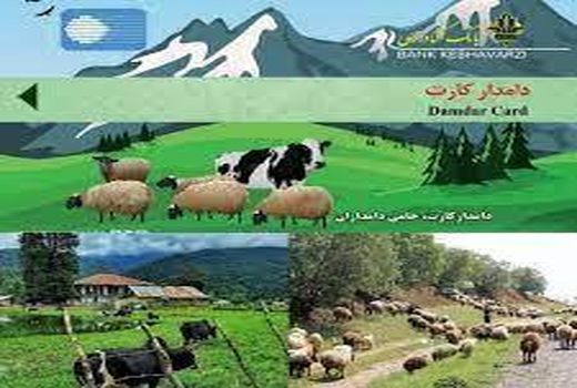 صدوردامدار کارت جدید با سقف اعتباری بالاتر و نرخ سود کمتر در حمایت از تامین نهاده‌های دامی