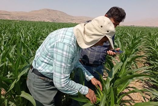 پیام رئیس جهاد کشاورزی فارس به مناسبت هفته دولت و روز کارمند