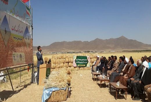 برکت نعمت با شکرگزاری برداشت محصول و اجرای فرهنگ زکات