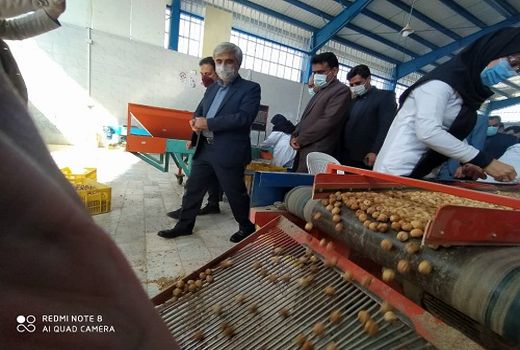 افتتاح طرح های اشتغالزای صنایع کشاورزی در استهبان 