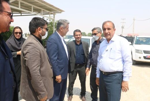 ۲۱۱ واحد گلخانه‌ای در شهرستان دشتی فعال است