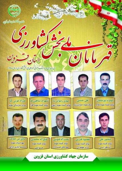 افتخاری دیگر برای کشاورزی استان قزوین