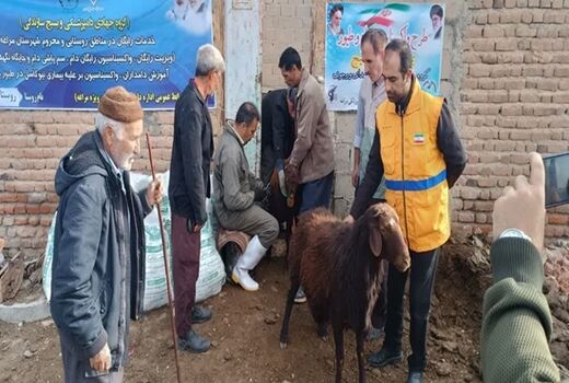 خدمات رایگان دامپزشکی در ۱۴۰ روستای آذربایجان شرقی