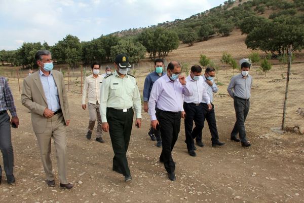 اعلام قاطعیت در برخورد با تغییر کاربری اراضی زراعی، باغی و منابع طبیعی