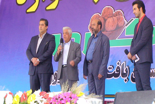 ارقام جدید و کیفی گردو باید معرفی شود