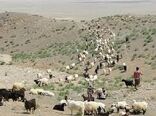 مدیرکل امور عشایر خراسان شمالی: عشایر خراسان شمالی از کوچ زودهنگام پرهیز کنند