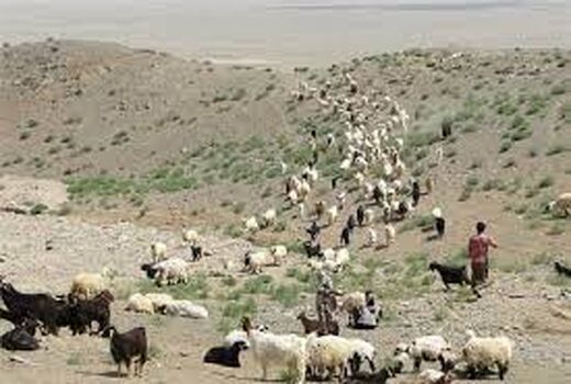مدیرکل امور عشایر خراسان شمالی: عشایر خراسان شمالی از کوچ زودهنگام پرهیز کنند