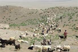مدیرکل امور عشایر خراسان شمالی: عشایر خراسان شمالی از کوچ زودهنگام پرهیز کنند