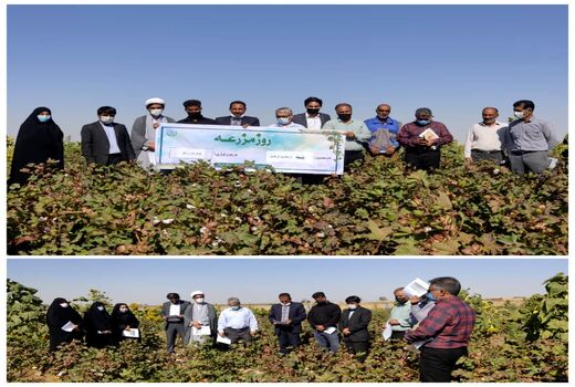 برگزاری روز مزرعه و بازدید از سایت جامع الگویی تولیدی، ترویجی پنبه سرایان