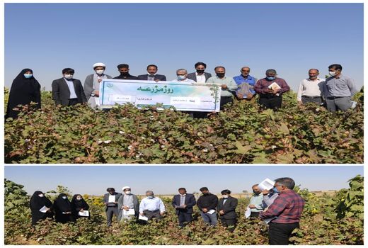 برگزاری روز مزرعه و بازدید از سایت جامع الگویی تولیدی، ترویجی پنبه سرایان