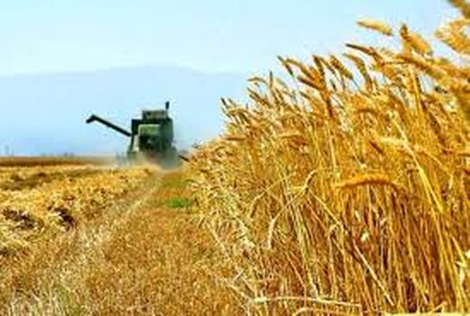 32 درصد سهم اشتغال زنجان به بخش کشاورزی اختصاص دارد