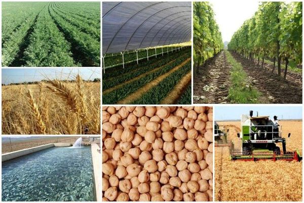 مدیریت استان‌ها را از ساختار منفعل به نهاد پاسخگو تبدیل کردیم/ اجرای بیش از 90 مصوبه تخصصی