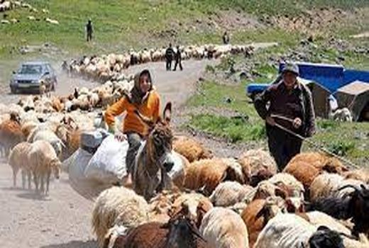 صدای پای کوچ پاییزه عشایر کم کم به گوش می رسد