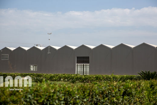 نمای بیرونی گلخانه آنتاریوم در آمل 