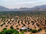 گامی در راستای افزایش رشد تولید