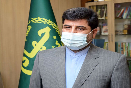 افزایش 50 درصدی قیمت خرید تضمینی دانه‌های روغنی در سال زراعی جاری