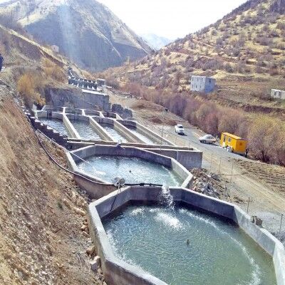 شیلات کردستان؛ از پرورش بچه‌ماهی سردآبی تا راه‌اندازی 6 تعاونی صیادی