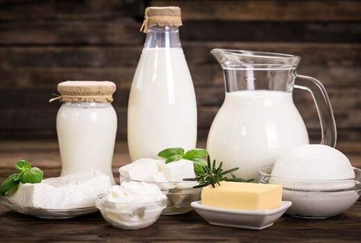 لغو عوارض صادراتی برخی از محصولات پروتئینی و لبنی