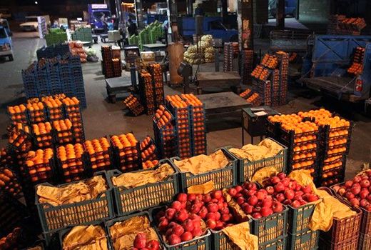 تولیدات بخش کشاورزی محور اصلی صادرات در استان کردستان