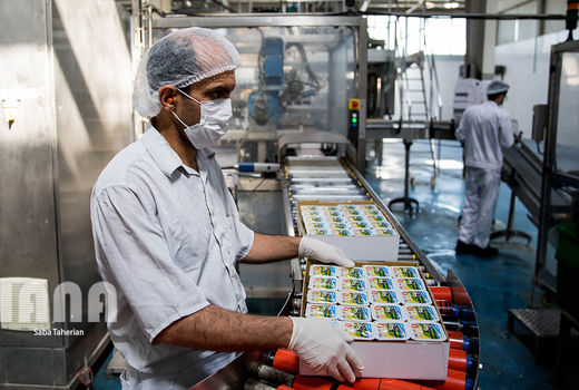 خط تولید کَره لاکتیکی