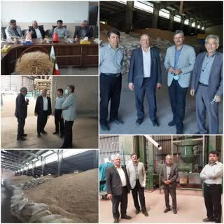 بازدید کارشناسان فنی از یک واحد تولیدی بذر گندم در استان قزوین