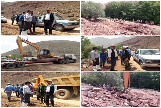 تلاش برای احیای ۲۵۰ هکتار از باغات گردوی روستای مزداران شهرستان فیروزکوه