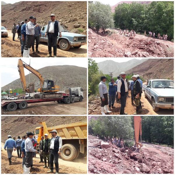 تلاش برای احیای ۲۵۰ هکتار از باغات گردوی روستای مزداران شهرستان فیروزکوه