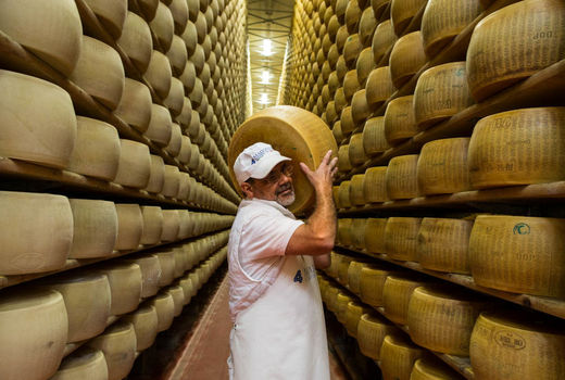 تولید پنیر سنتی ایتالیا توسط دامداران هندی‎