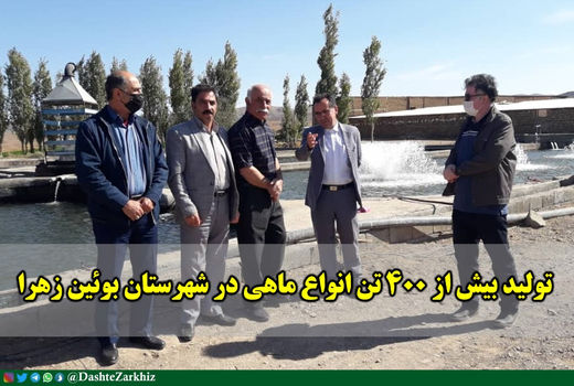تولید بیش از ۴۰۰ تن انواع ماهی در شهرستان بوئین زهرا