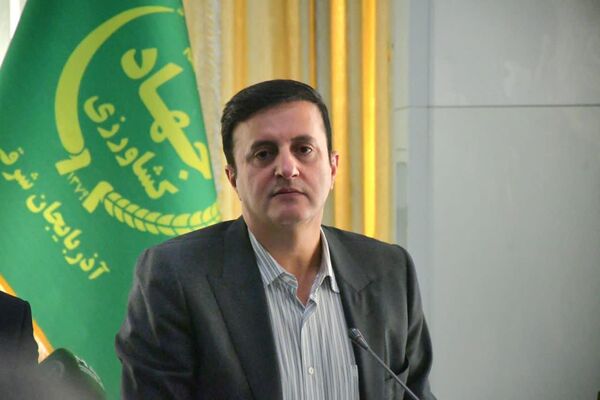 معاون وزیر جهاد کشاورزی: تخصیص فوق‌العاده امنیت غذایی را  پیگیری می‌کنیم