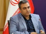زیتون ایران بازار تضمین شده در خارج کشور دارد